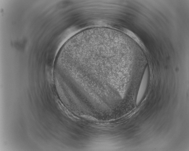 X0000079281052200612081748