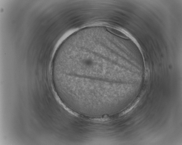 X0000079281053200612081748