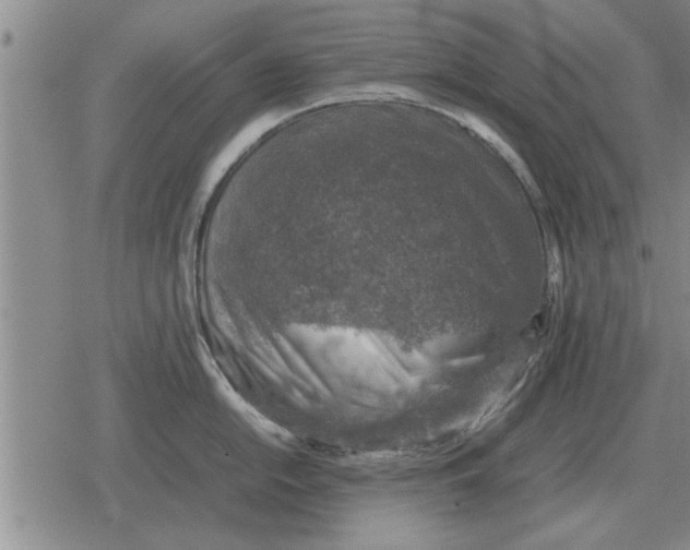 X0000079281054200612081748