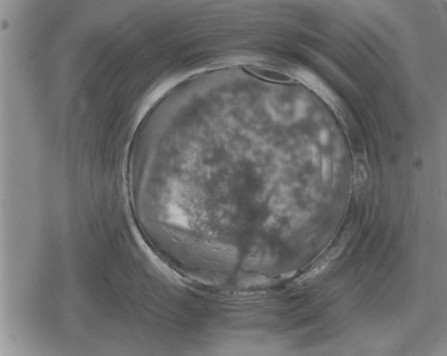 X0000079281055200612081748