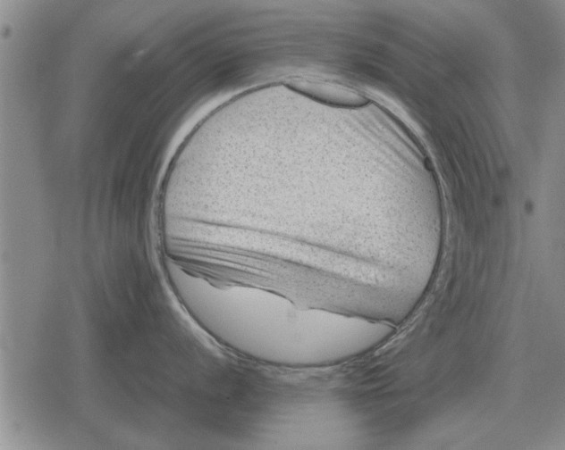 X0000079281056200612081748