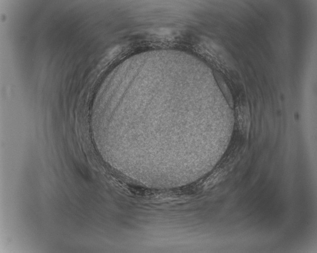 X0000079281057200612081747