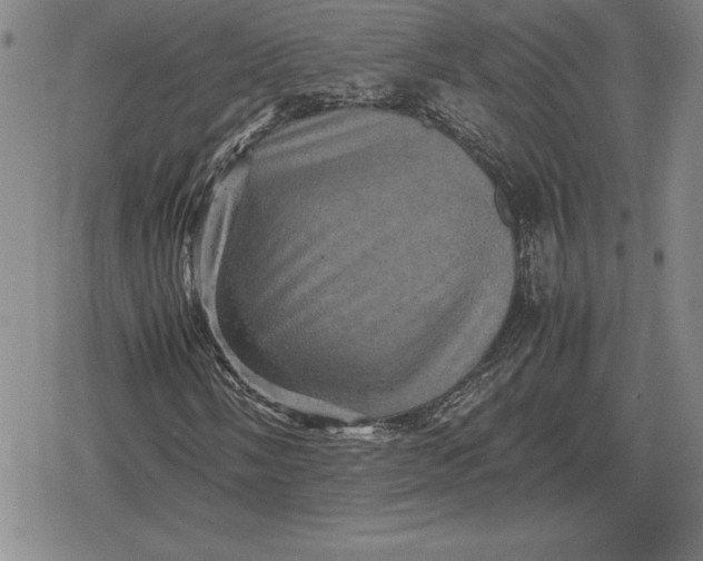 X0000079281058200612081747