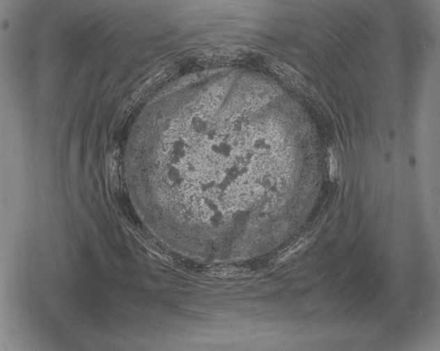 X0000079281059200612081747