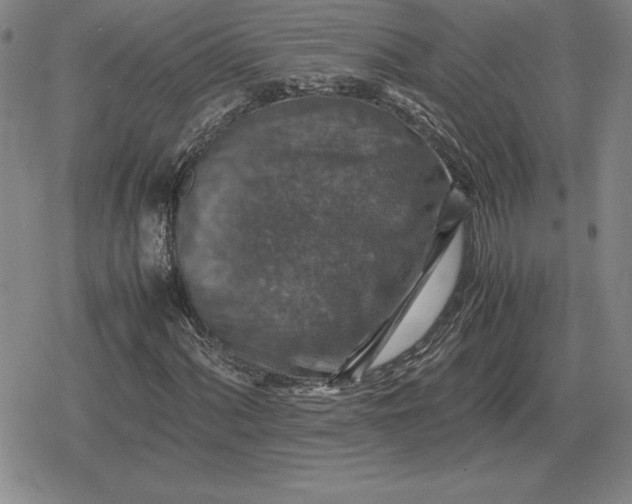 X0000079281060200612081747