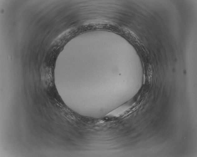 X0000079281062200612081747