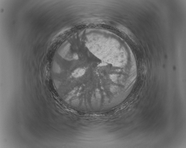 X0000079281063200612081747