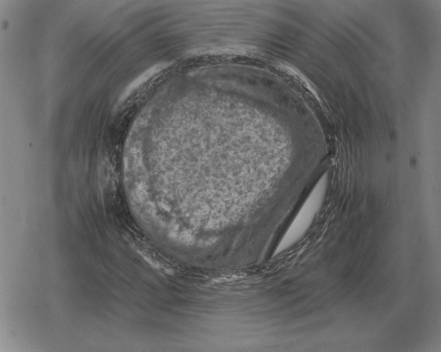 X0000079281064200612081747