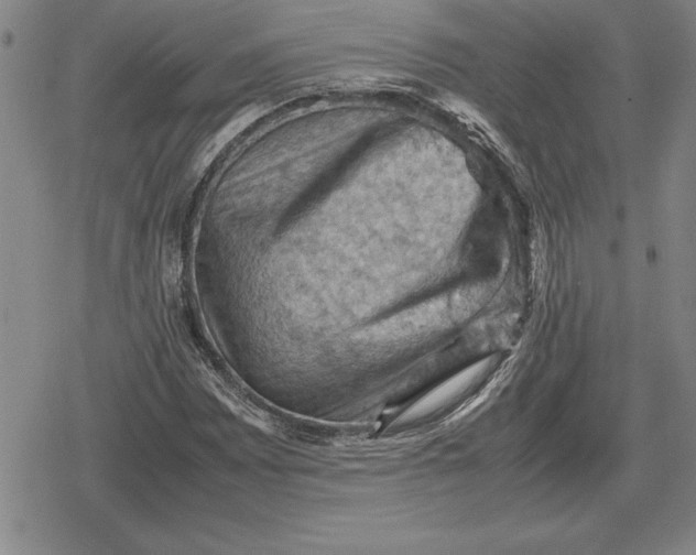 X0000079281065200612081747