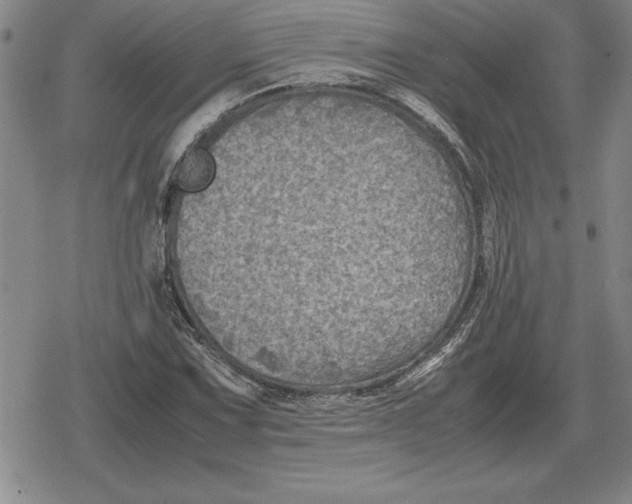 X0000079281067200612081747