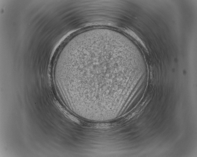 X0000079281068200612081747