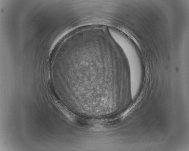 X0000079281069200612081747