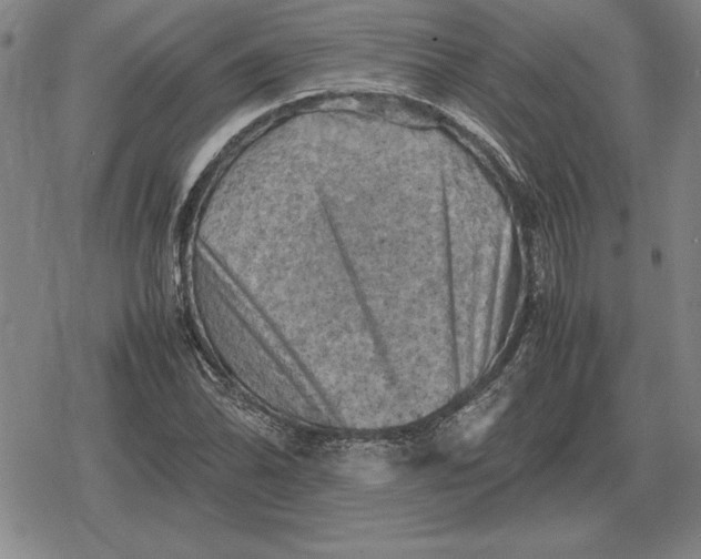 X0000079281070200612081747