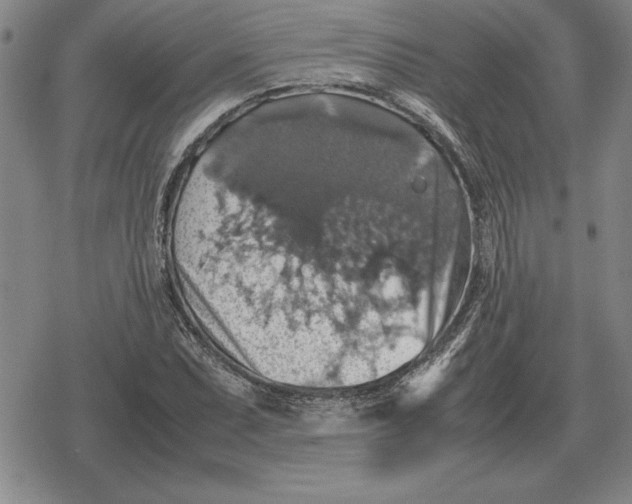 X0000079281071200612081747