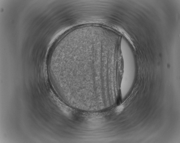 X0000079281072200612081747