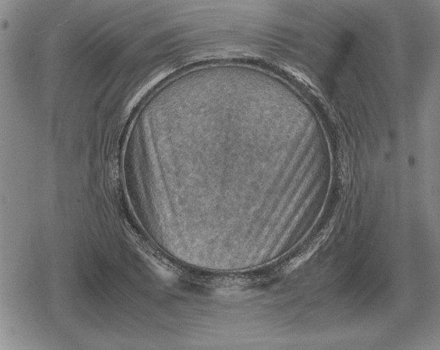 X0000079281073200612081747