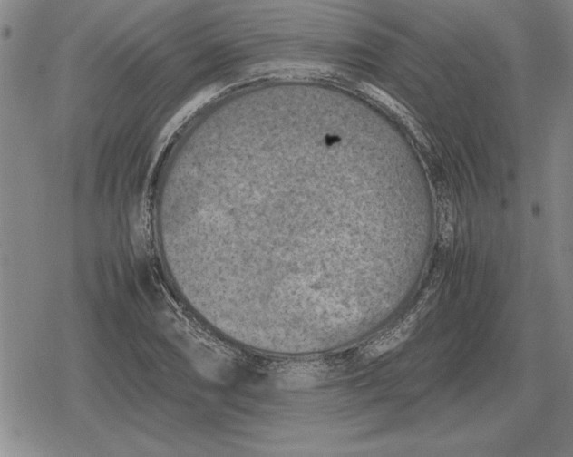 X0000079281074200612081747