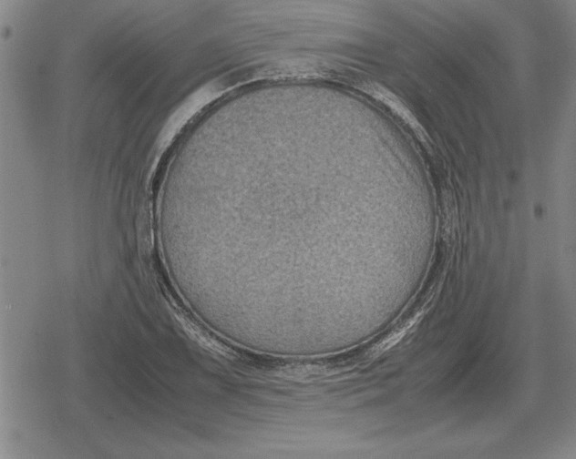 X0000079281075200612081747