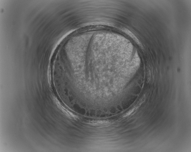 X0000079281076200612081747