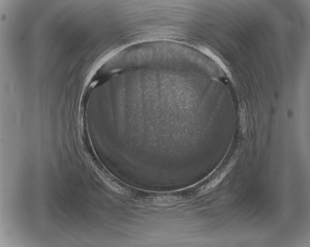 X0000079281077200612081747