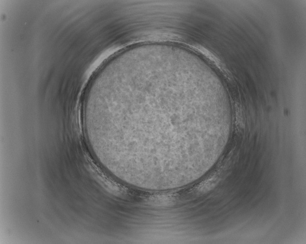 X0000079281078200612081747