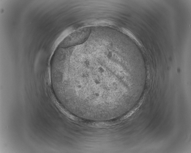 X0000079281079200612081747