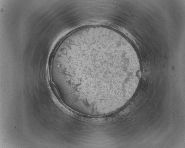 X0000079281080200612081747