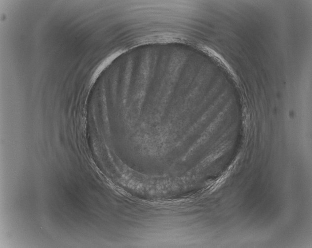 X0000079281081200612081747