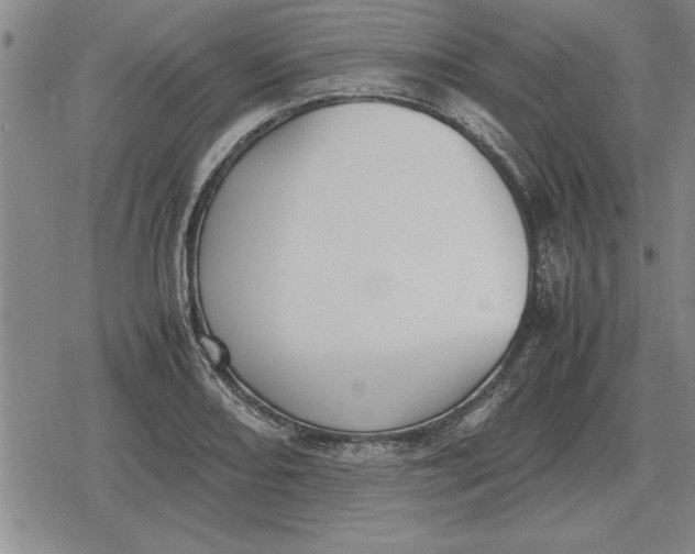 X0000079281082200612081747