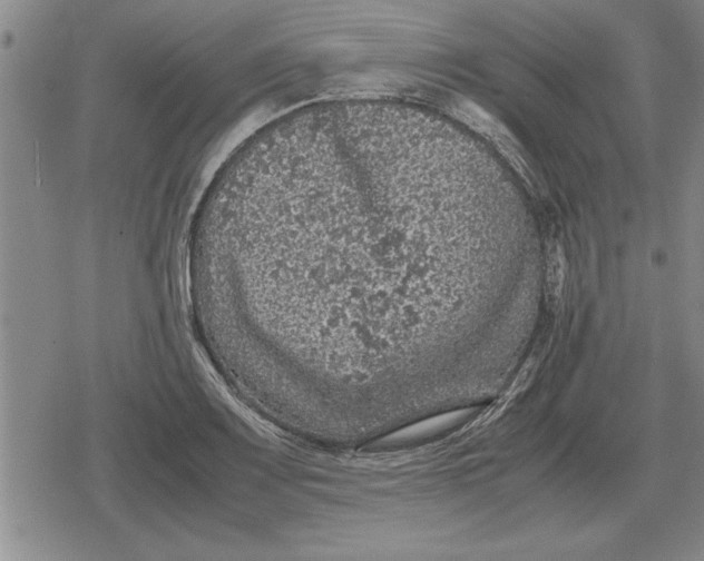 X0000079281083200612081747