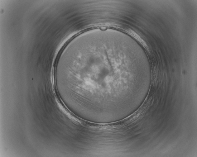 X0000079281084200612081747