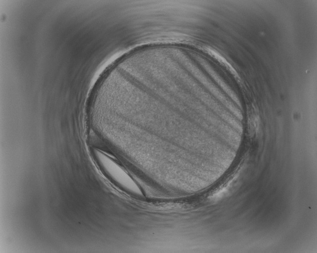 X0000079281085200612081747