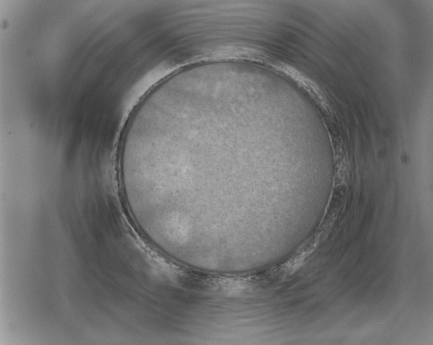 X0000079281086200612081747