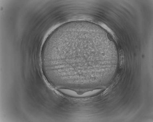 X0000079281088200612081747