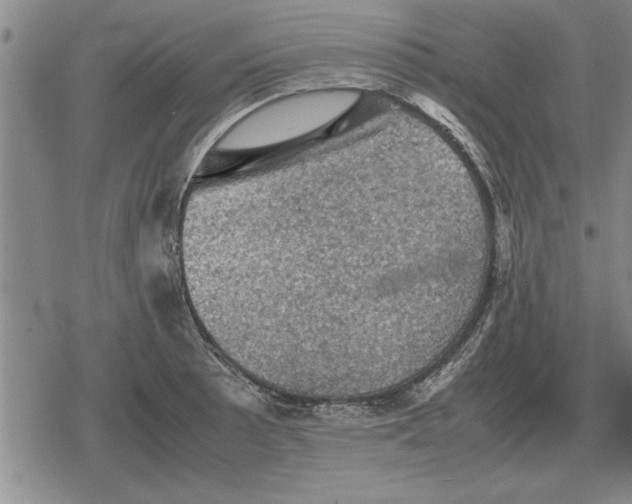 X0000079281089200612081747