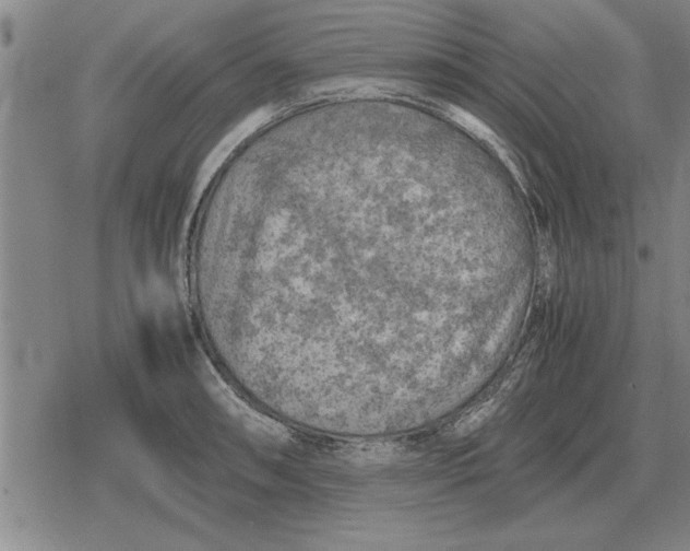 X0000079281090200612081747