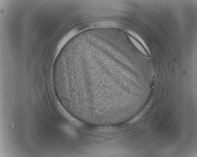 X0000079281091200612081747