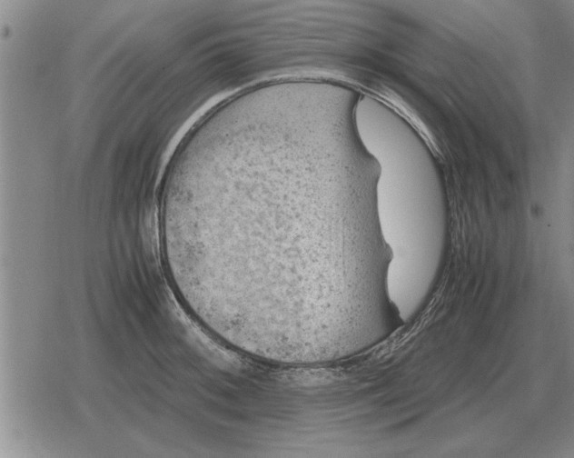 X0000079281092200612081747