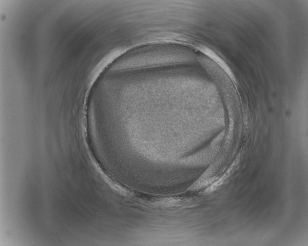 X0000079281093200612081747