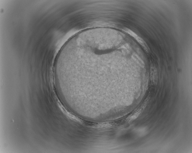 X0000079281094200612081747