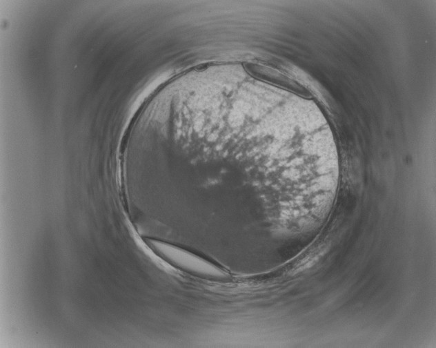 X0000079281095200612081747