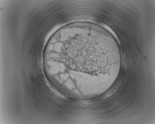 X0000079281096200612081747