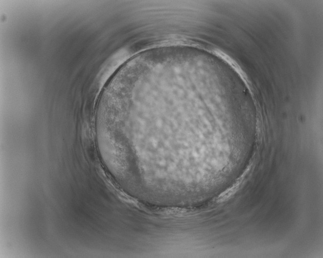 X0000079281097200612081747