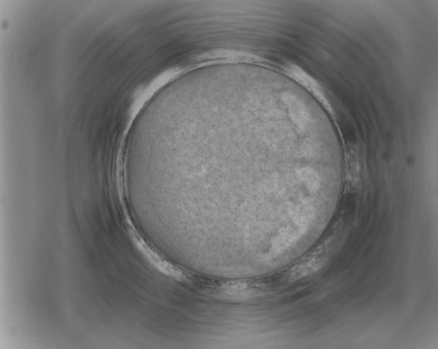 X0000079281098200612081747