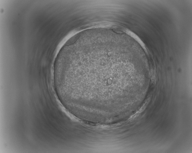 X0000079281099200612081747