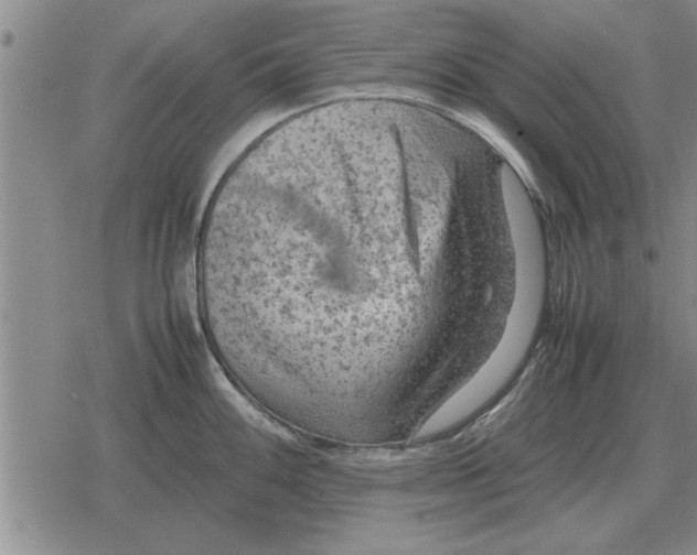 X0000079281100200612081747