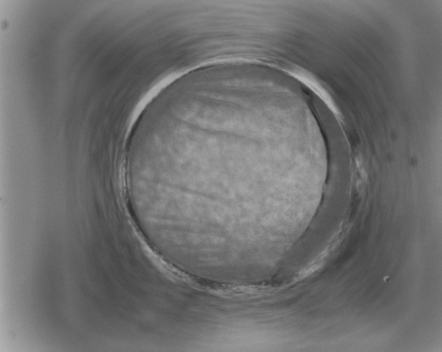 X0000079281101200612081747