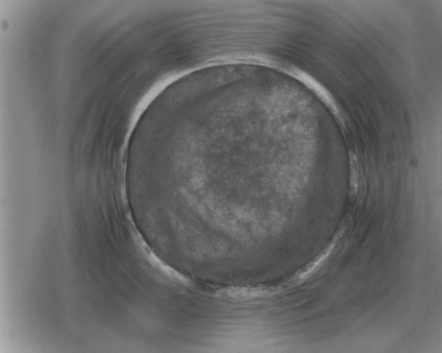 X0000079281102200612081747