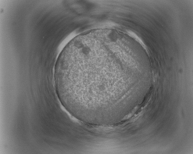 X0000079281103200612081747