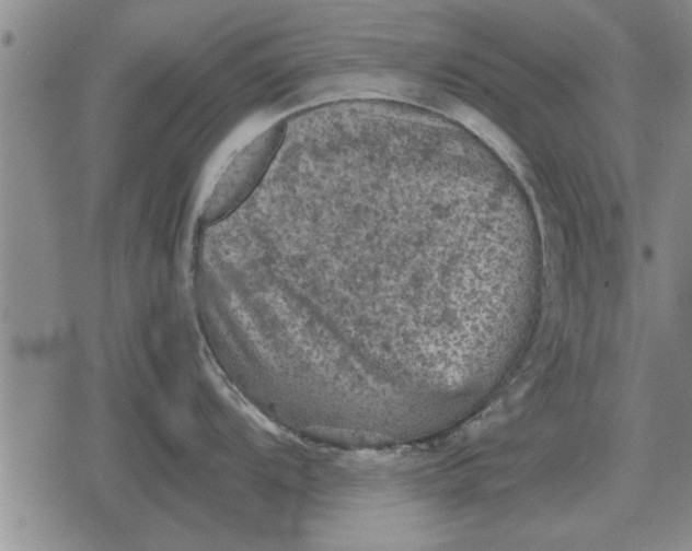 X0000079281104200612081747